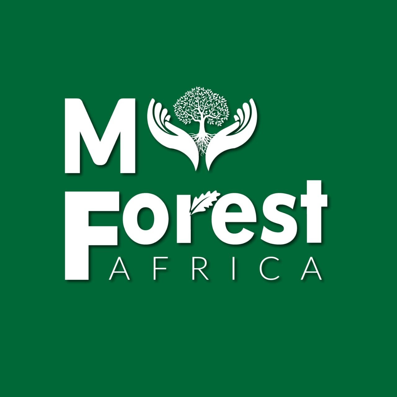 My Forest Africa